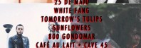 Reportagem Tomorrows Tulips + The Sunflowers e White Fang + 800 Gondomar no Porto Reportagem Tomorrows Tulips + The Sunflowers e White Fang + 800 Gondomar no Porto